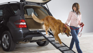walk-up-dog-ramp-aluminum-expandable